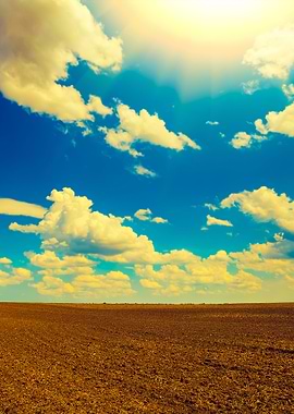 Arable Field With Cloudy S