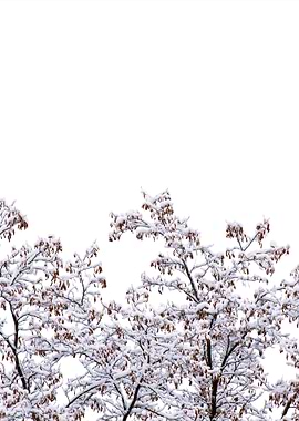 Stunning Backgrounds