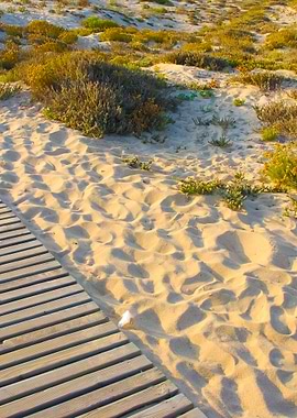 Wooden Walkway To Beach