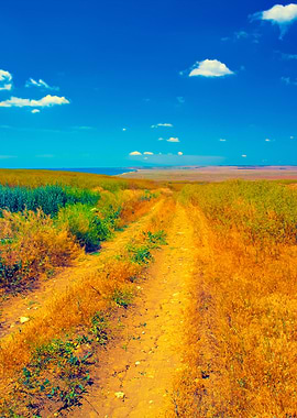 Rural Road To The Sea Coas