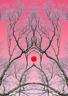Red Sun 1