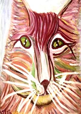 pink and green cat