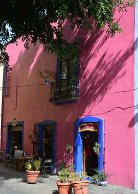 houses in puebla