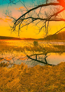 Misty Autumn Landscape At