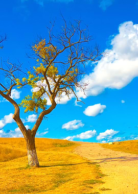 Alone Tree Along The Road
