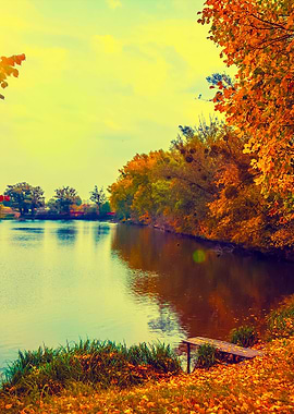 Rural Landscape At Sunset