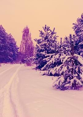 Rural Winter Snowy Landsca