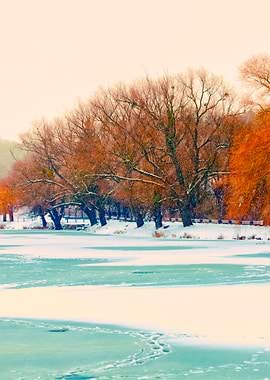 Winter Landscape With Firs