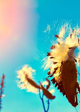 Vintage Toned Autumn Theme