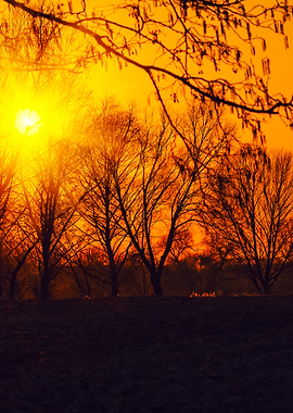 Rural Landscape At Sunset