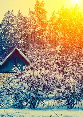 Snowy Winter Rural Landsca