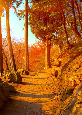 Botanical Garden In Autumn