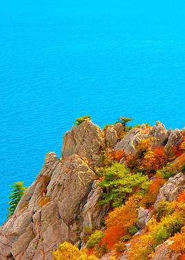 View Of The Sea Coast From