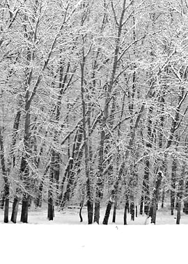 Stunning Backgrounds