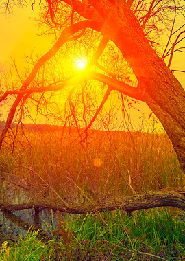 Misty Autumn Landscape At