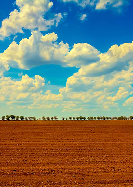 Arable Field With Cloudy S