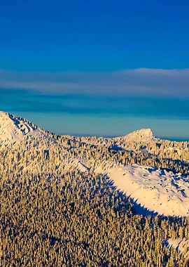 Stunning Backgrounds