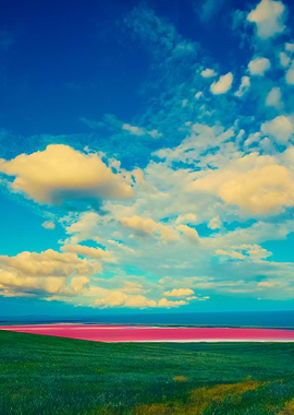 Beautiful Pink Mud Lake