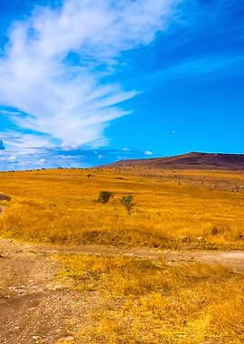 Beautiful Sky Above Dirt R