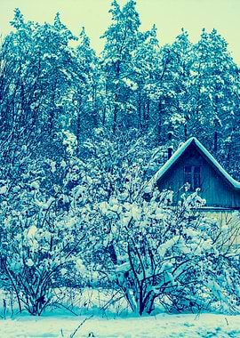 Snowy Winter Rural Landsca
