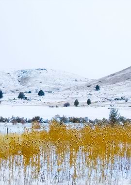 Stunning Backgrounds