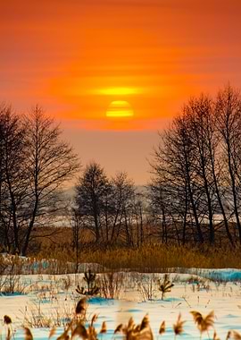 Beautiful Winter Sunset