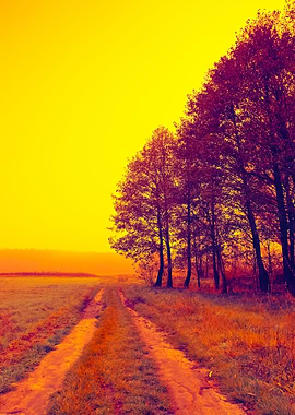 Foggy Autumn Landscape At