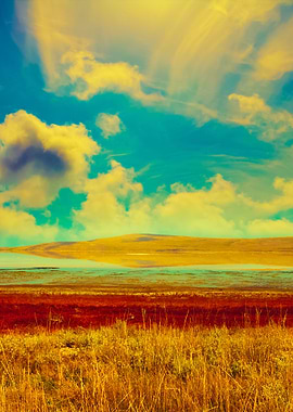 Landscape With Beautiful C