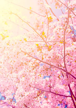 Vintage Blossoming Cherry