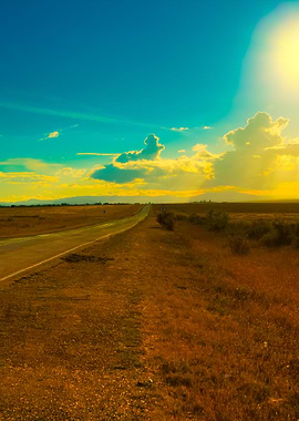 Asphalt Road Through The F