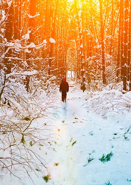 Man Walking In Snowy Fores
