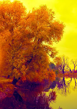 Autumn Rural Landscape Wit