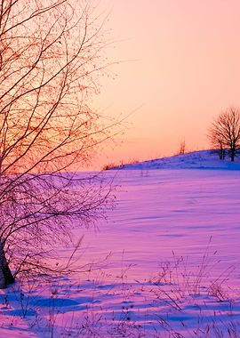 Beautiful Winter Sunrise