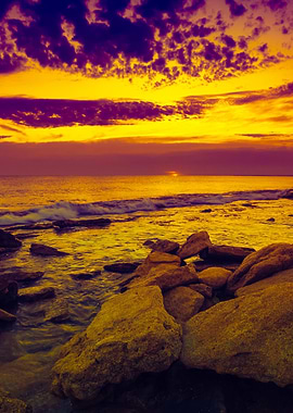 Wild Rocky Beach At Dawn