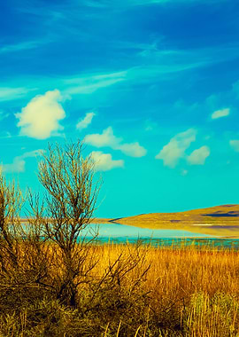 Beautiful Desert Landscape