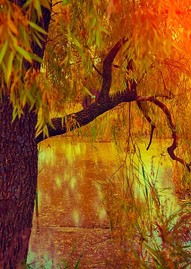 Misty Autumn Landscape At