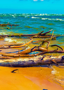 Wild Desert Beach With Fal