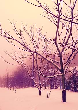 Rural Winter Snowy Landsca