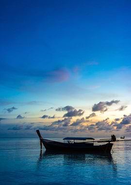Lone long tail at dusk