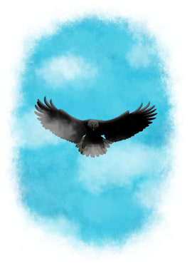 Eagle Guardian White