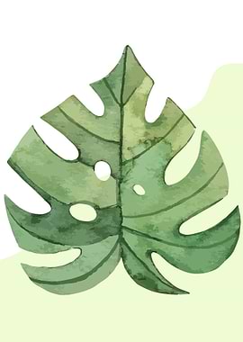Monstera Leaf