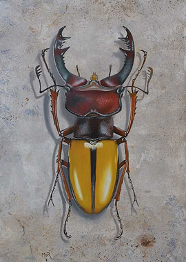 Lucanus Laetus