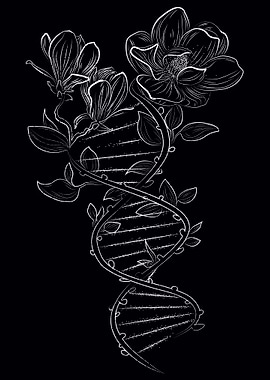 Magnolia Dna