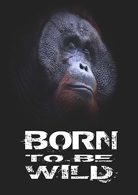 Born To Be Wild