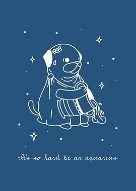 Aquarius Zodiac Signs