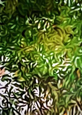 Abstract leaves in water