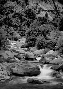 Feather River Canyon II