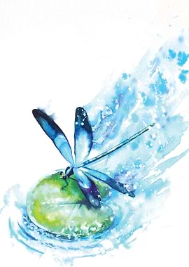Blue Dragonfly