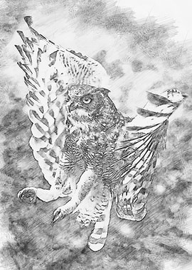 Eagle Owl Sketch Art