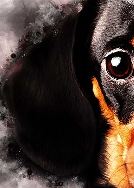 Dachshund Dog Wall Art